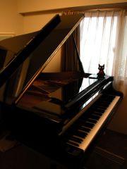 板橋区小茂根のピアノ教室、おまきぴあの教室写真1