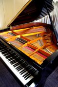 大人のためのPiano Lesson〜mune エミュネ〜写真3
