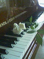 ピアノ教室Musicafe写真1