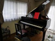 α Musica(アルファムジカ)音楽総合教室写真2