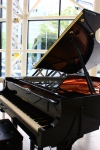 くまのピアノ教室写真1