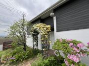 名も無き音楽教室写真4